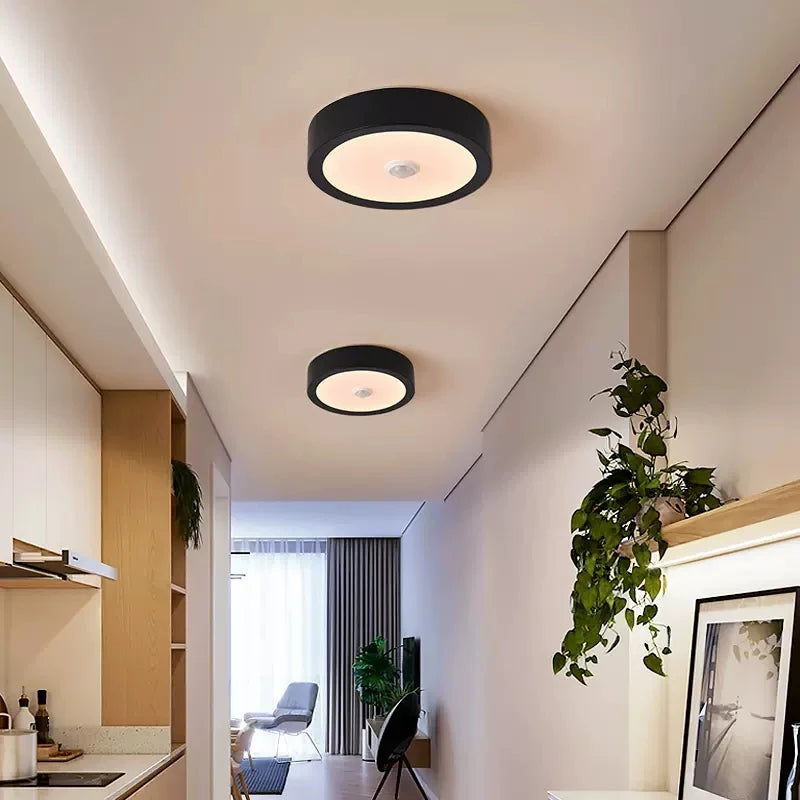 plafonnier led moderne décoratif pour intérieur lumineux et élégant