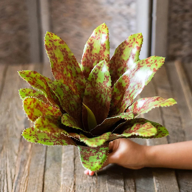 plantes succulentes artificielles toucher réel pour décoration intérieure