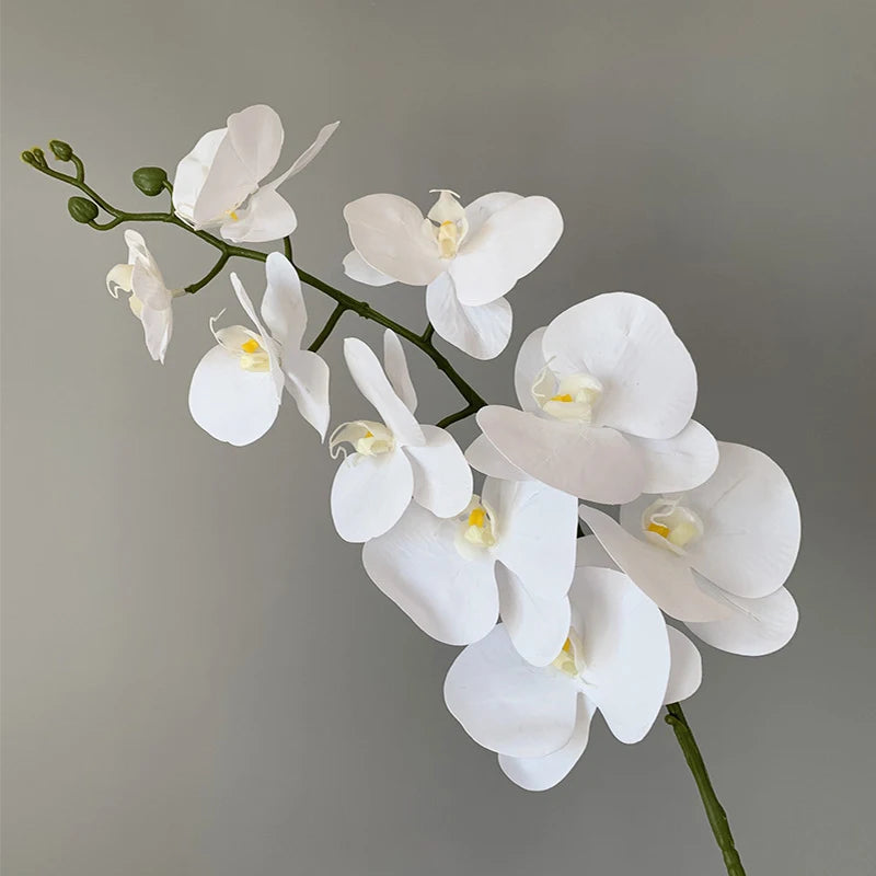 orchidée phalaenopsis préservée fleurs artificielles pour décoration mariage