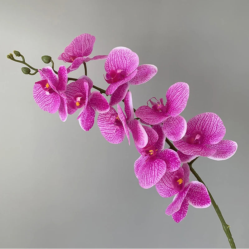 orchidée phalaenopsis préservée fleurs artificielles pour décoration mariage