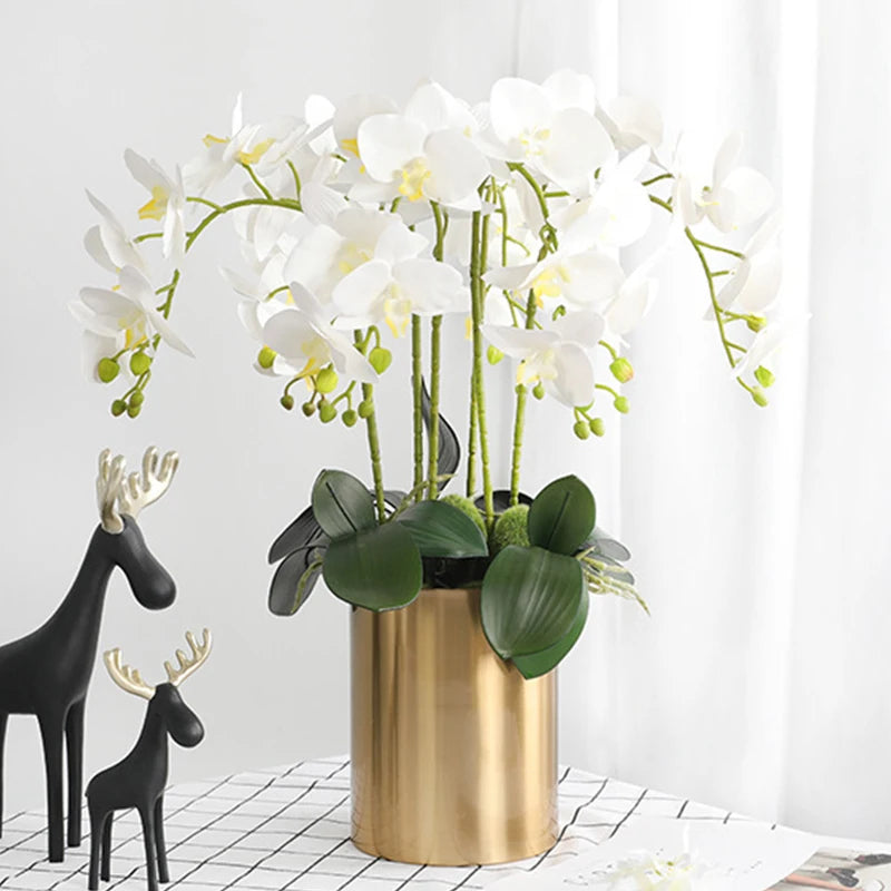 orchidée phalaenopsis préservée fleurs artificielles pour décoration mariage