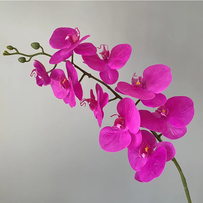 orchidée phalaenopsis préservée fleurs artificielles pour décoration mariage