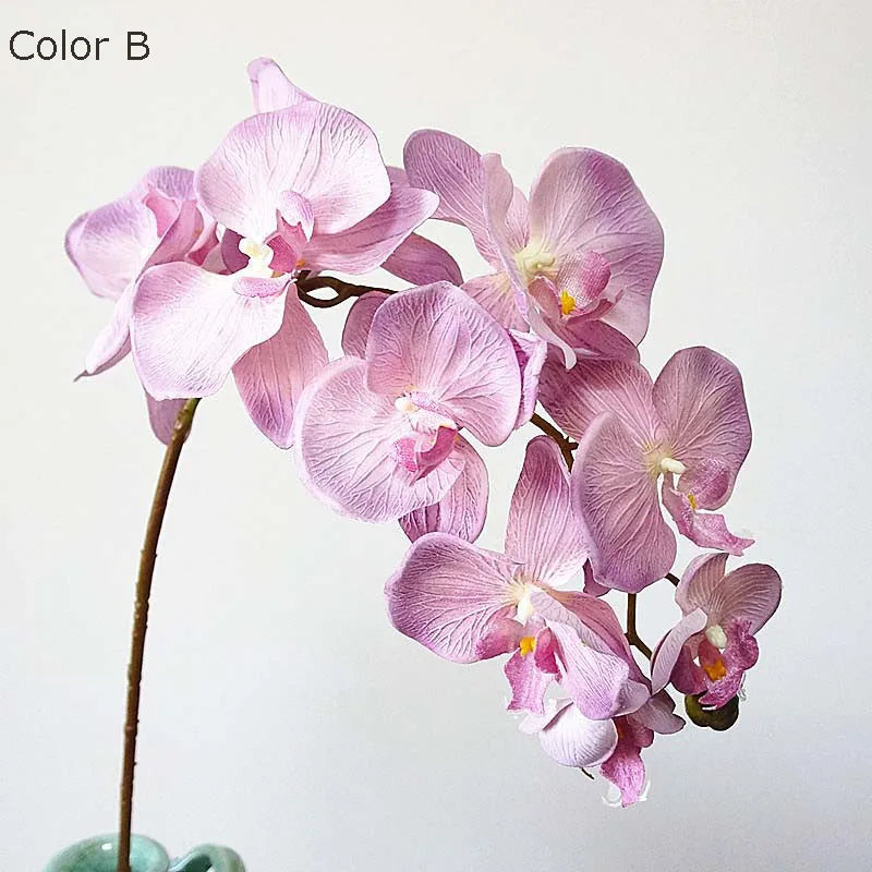 10 têtes d'orchidées artificielles rétro pour décorations élégantes