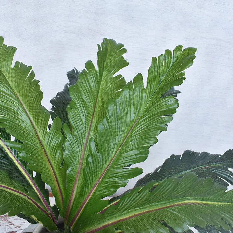 plantes artificielles tropicales fougères et feuilles décoratives