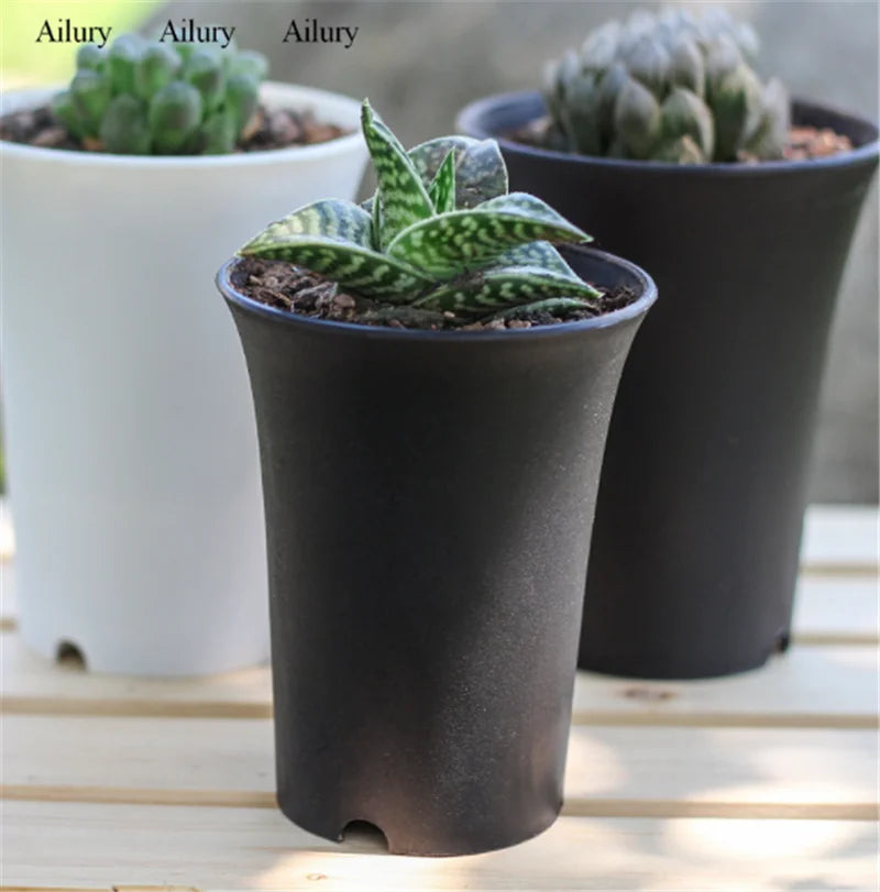 plante succulente pot en plastique épais style vintage rond