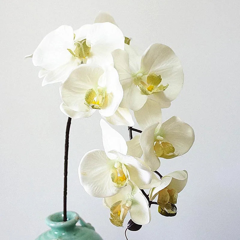 10 têtes d'orchidées artificielles rétro pour décorations élégantes