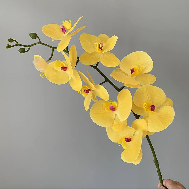 orchidée phalaenopsis préservée fleurs artificielles pour décoration mariage