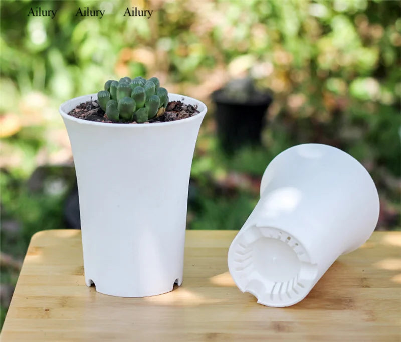 plante succulente pot en plastique épais style vintage rond