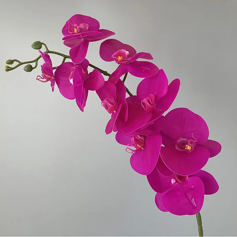 orchidée phalaenopsis préservée fleurs artificielles pour décoration mariage