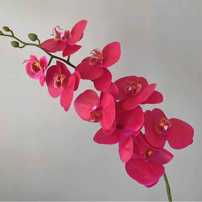 orchidée phalaenopsis préservée fleurs artificielles pour décoration mariage