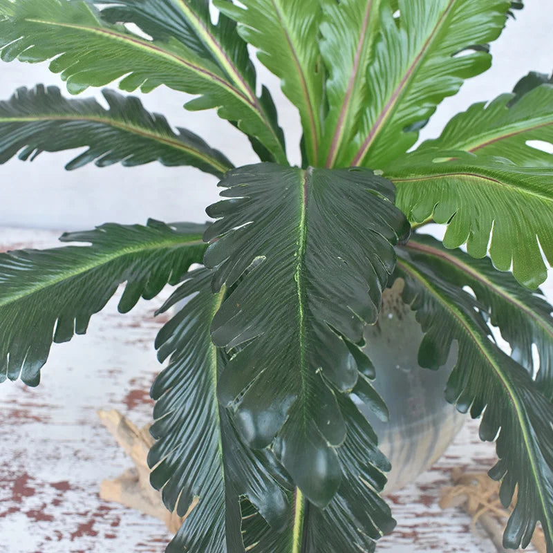 plantes artificielles tropicales fougères et feuilles décoratives