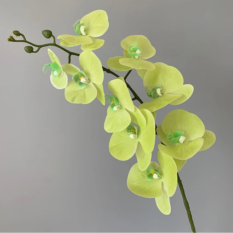 orchidée phalaenopsis préservée fleurs artificielles pour décoration mariage