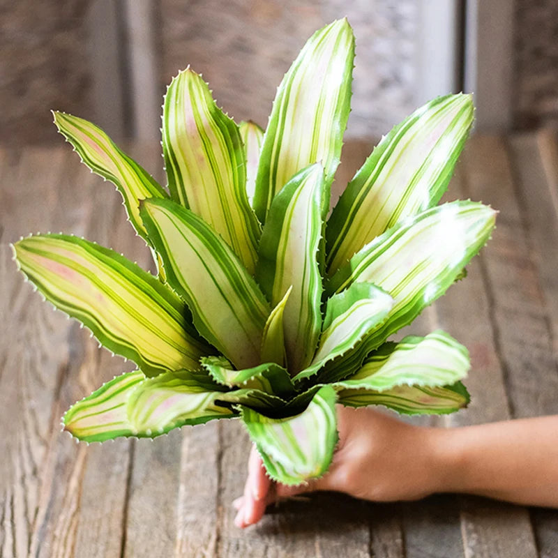 plantes succulentes artificielles toucher réel pour décoration intérieure