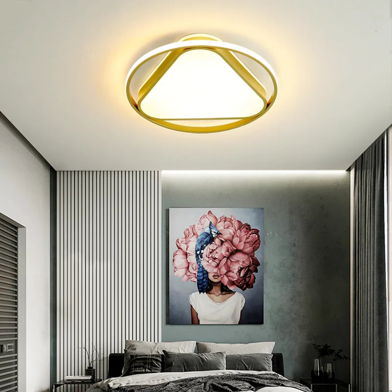 plafonnier moderne décoratif pour intérieur avec lumières led