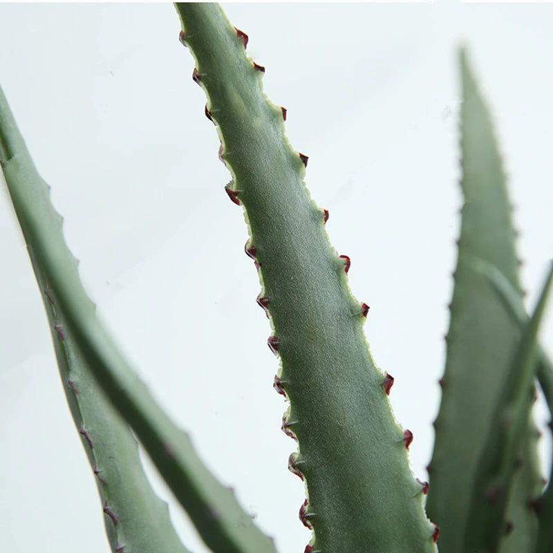 plantes succulentes artificielles pour décoration intérieure et extérieure