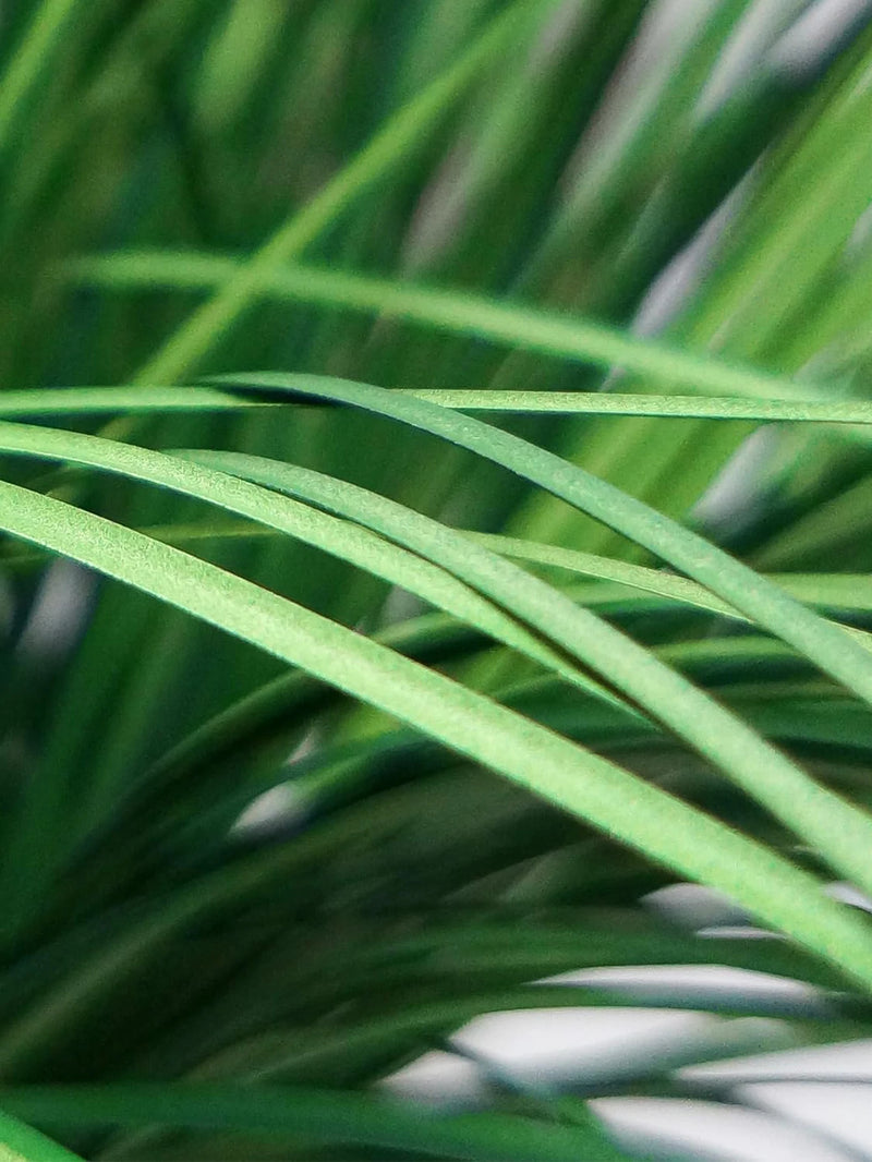 plantes artificielles herbe d'oignon pour mariage jardin décoration intérieure