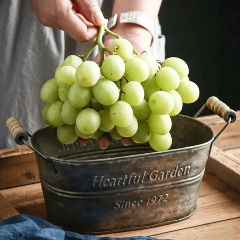 panier de rangement en métal vintage pour fleurs et fruits