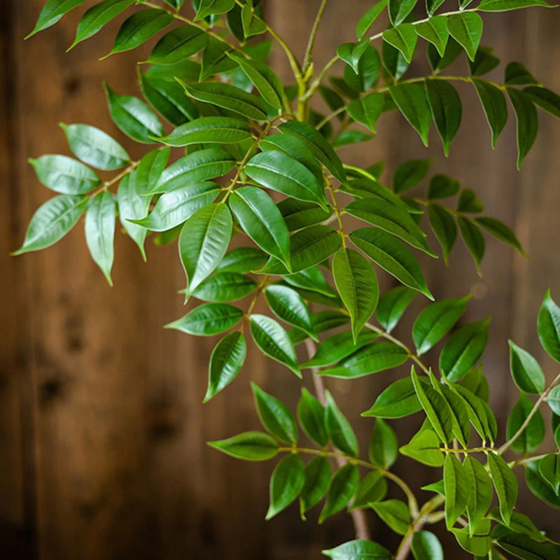 grande branche artificielle de ficus pour décoration intérieure et extérieure