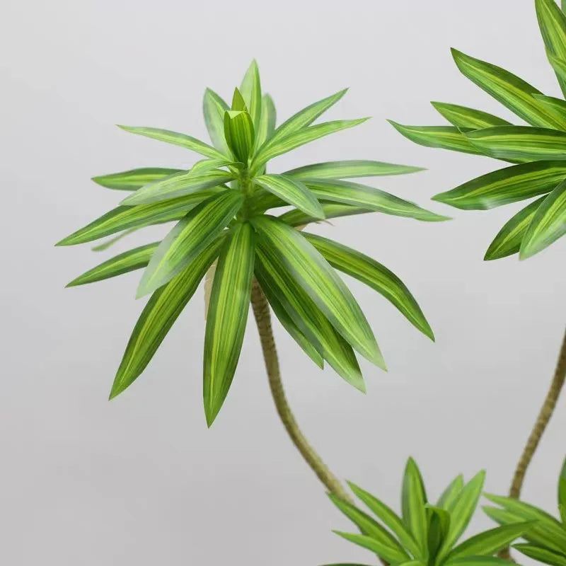 plante tropicale en pot avec palmier et bambou décoratif