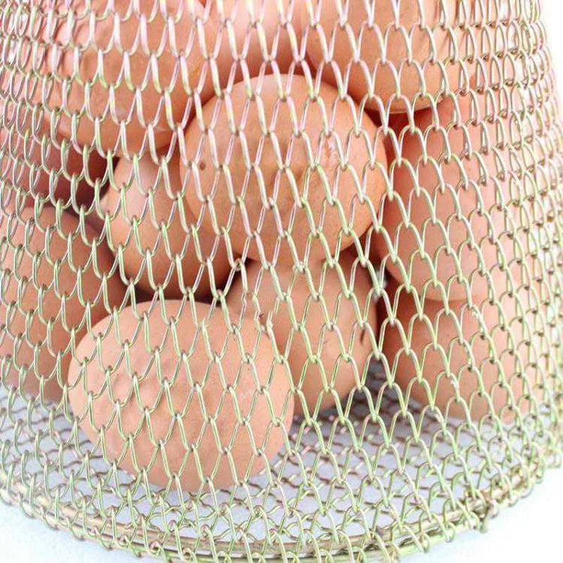 panier à œufs pliable et portable en fer polyvalent