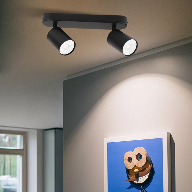 spot led remplaçable pour décoration intérieure moderne et élégante