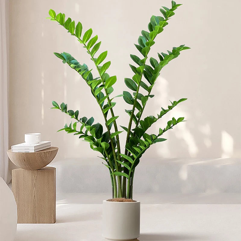 plantes artificielles ficus et zamioculcas pour décoration intérieure