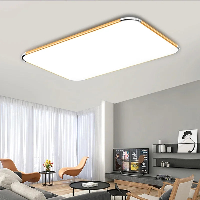 Modern Living Room Light 2024 Ultra Thin LED Ceiling Light Remote Control Dimming Restaurant Bedroom Balcony Panel Light