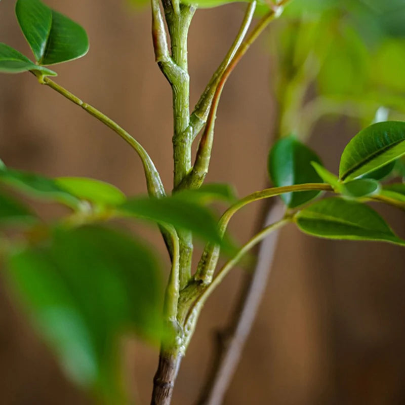 grande branche artificielle de ficus pour décoration intérieure et extérieure