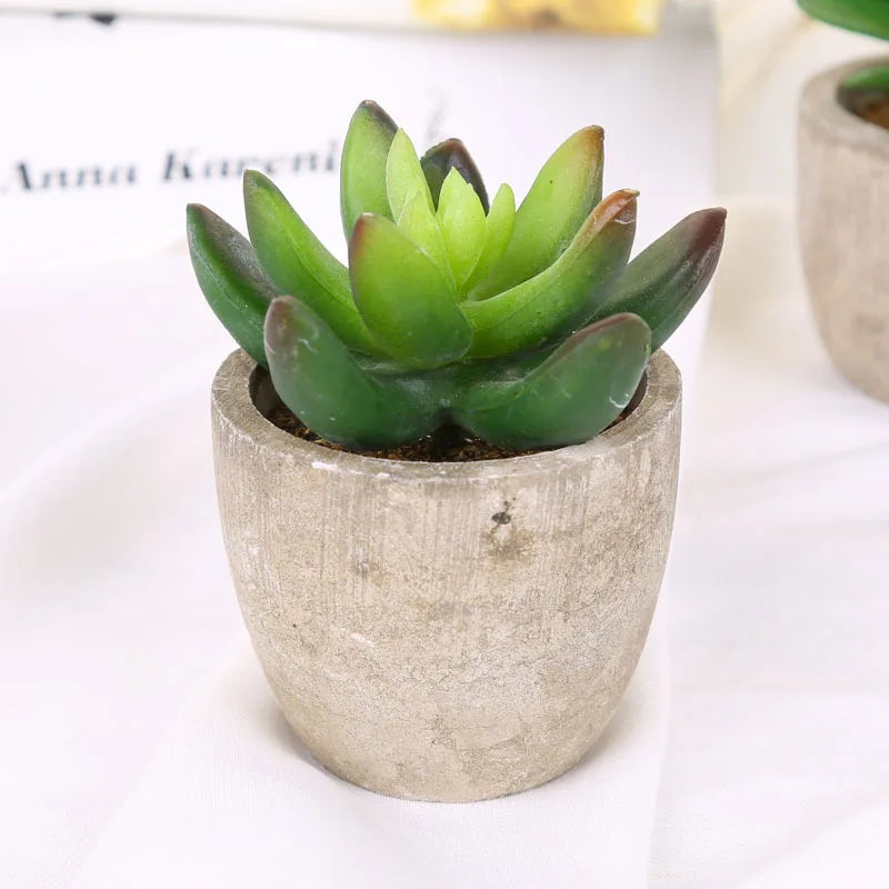 plantes succulentes artificielles pour décoration intérieure moderne