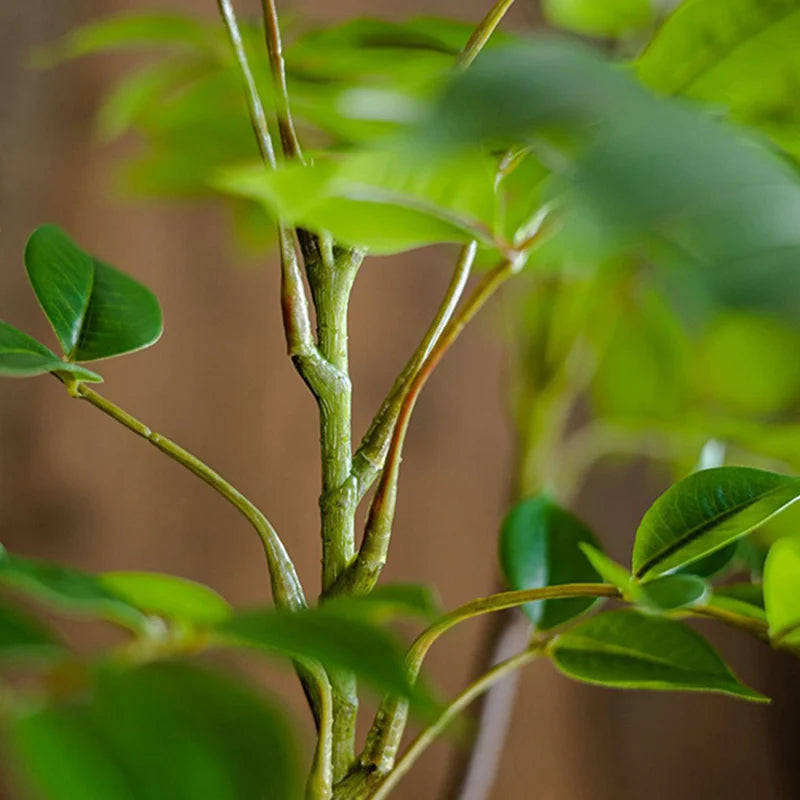 plantes artificielles grandes pour décoration intérieure et extérieure