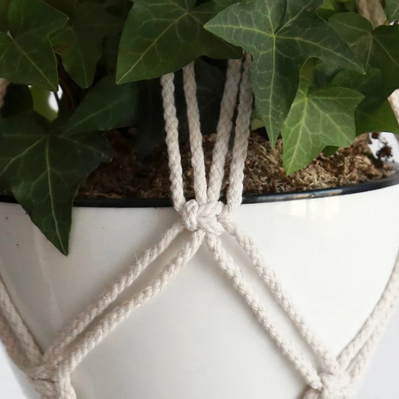 suspension en macramé pour plantes et décoration intérieure