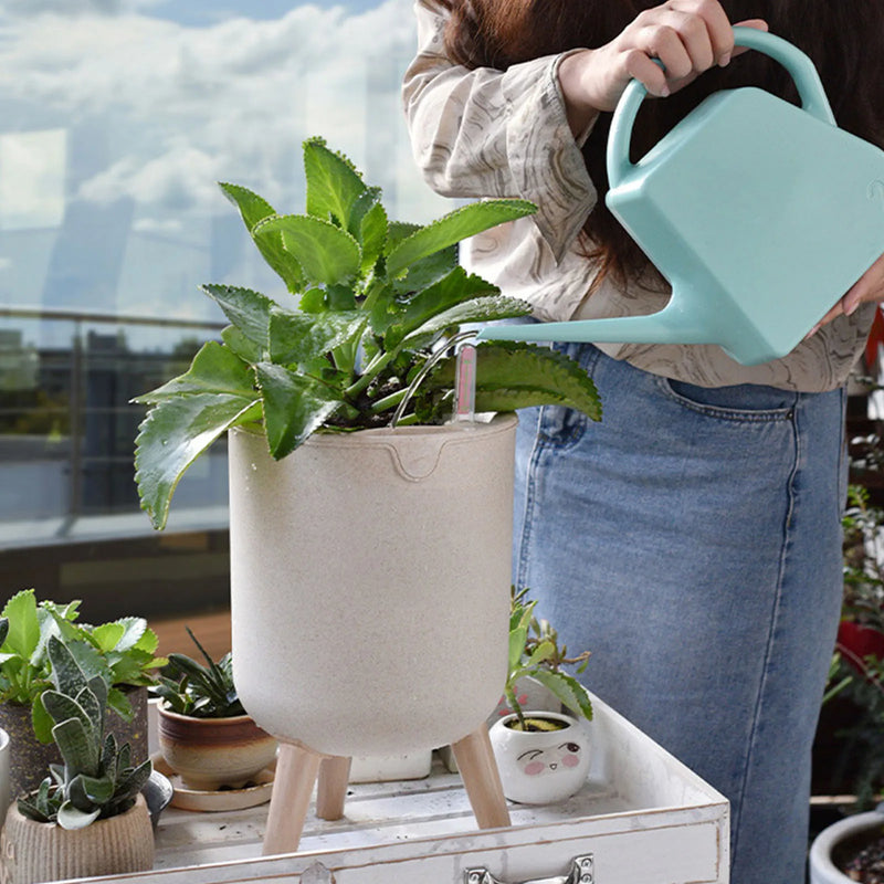 pot de fleurs automatique avec indicateur de niveau d'eau et rangement