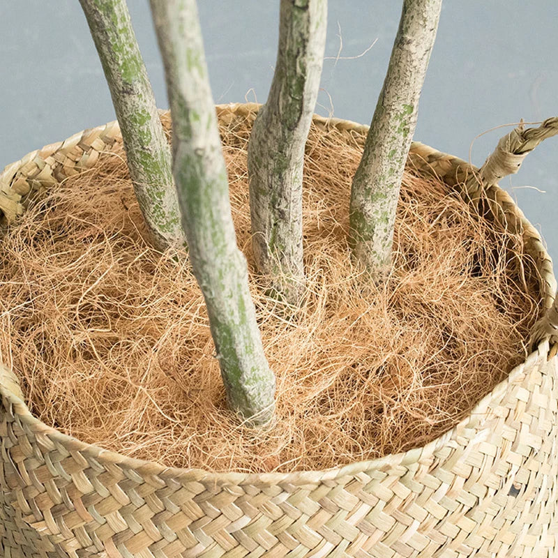 plantes artificielles dracaena pour décoration intérieure tropicale