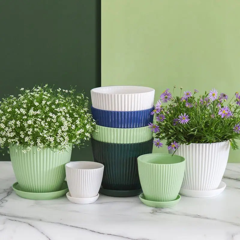 pots de jardin multicolores avec plateau pour semis de fleurs