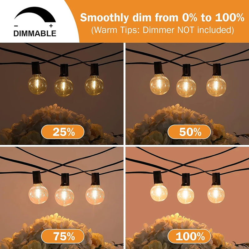 guirlande lumineuse led festoon g40 pour extérieur et décorations festives