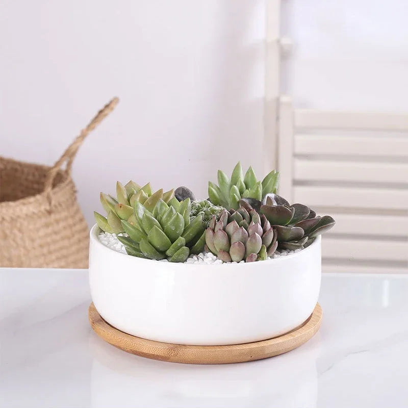 pot en céramique pour plantes succulentes avec plateau en bambou