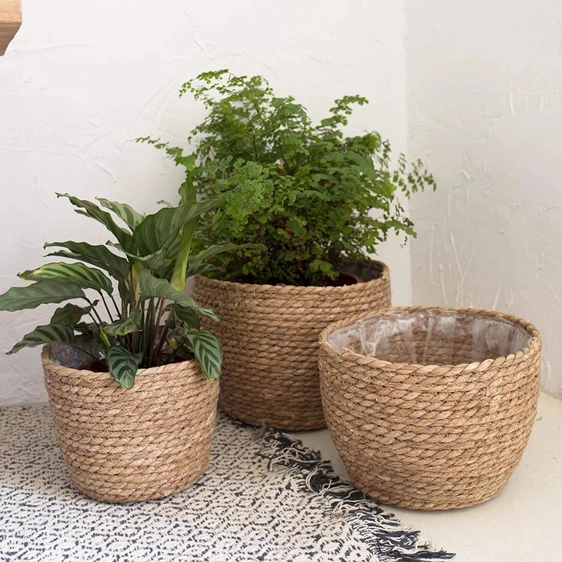 panier en paille pour plantes d'intérieur et d'extérieur