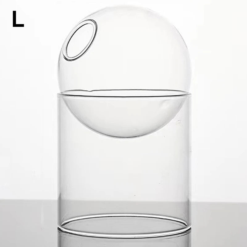 mini vase rond en verre pour décoration hydroponique écologique