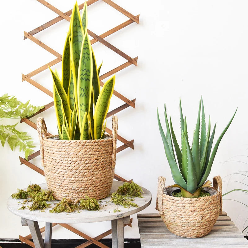 panier de rangement en jonc de mer fait main pour plantes et fleurs