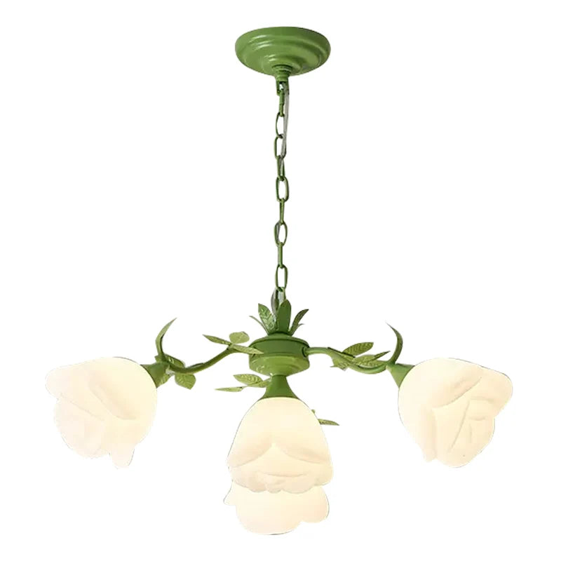 lustre rose botimi