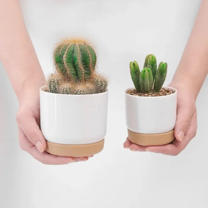 pot rond à double couche pour plantes succulentes