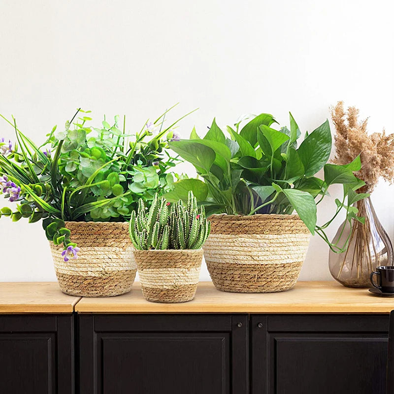 pot de fleurs tissé en seagras fait main pour plantes décoratives