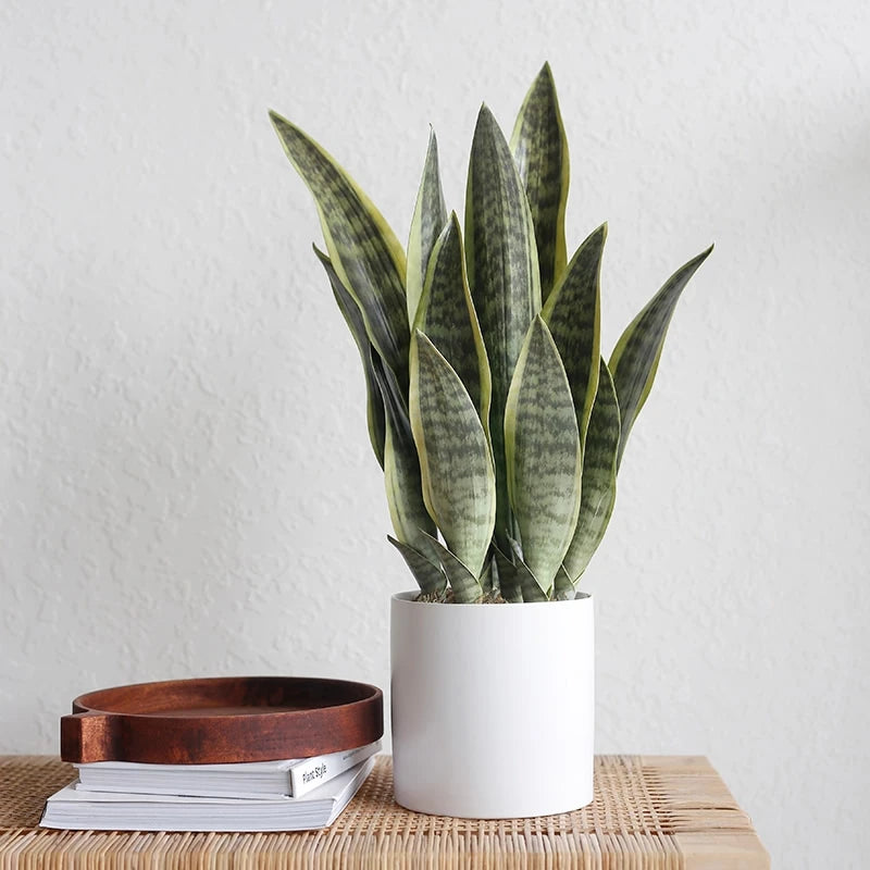 plantes artificielles succulentes aloe vera pour décoration intérieure extérieure