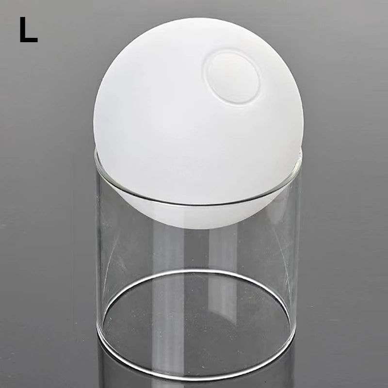 mini vase rond en verre pour décoration hydroponique écologique