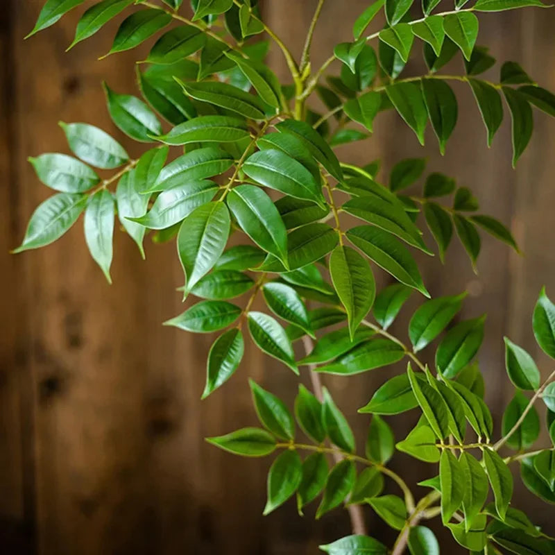 plantes artificielles pour décoration intérieure et extérieure