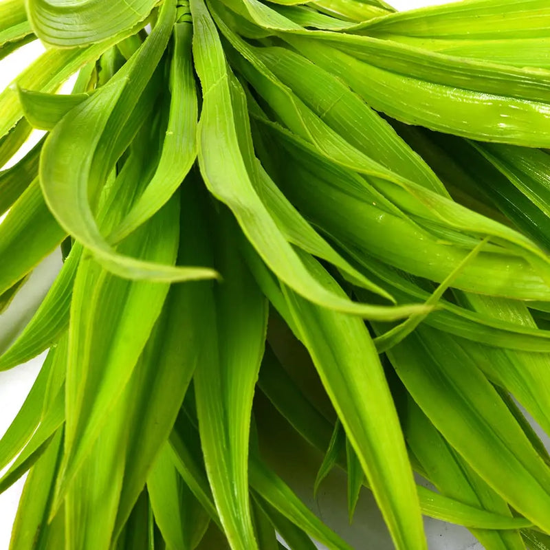 plantes artificielles chlorophytum pour décoration intérieure et extérieure