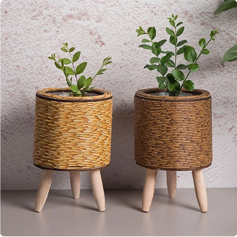 cadre créatif de rangement pour plantes et fleurs