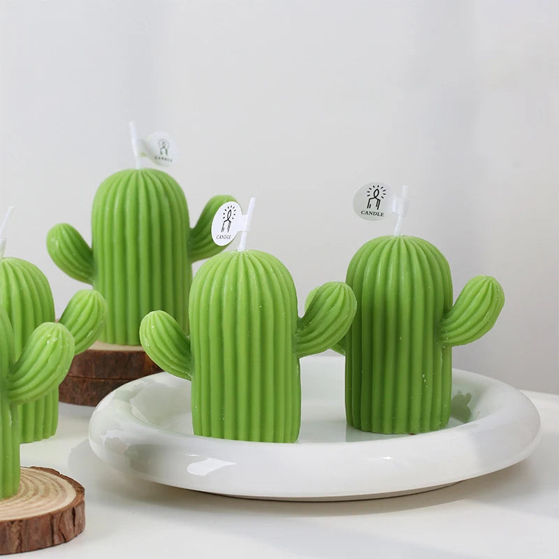 bougies parfumées cactus en cire de soja pour décoration et accessoires photo