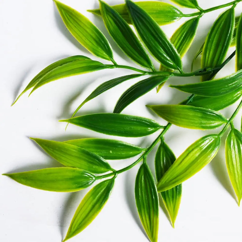 plantes suspendues en bambou pour décoration extérieure jardin