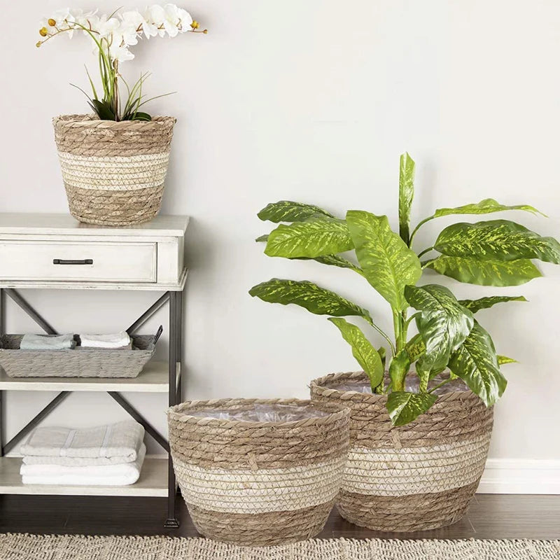 pot de fleurs tressé en paille pour plantes d'intérieur et extérieur